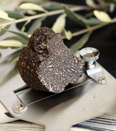 Truffle Tuber Melanosporum